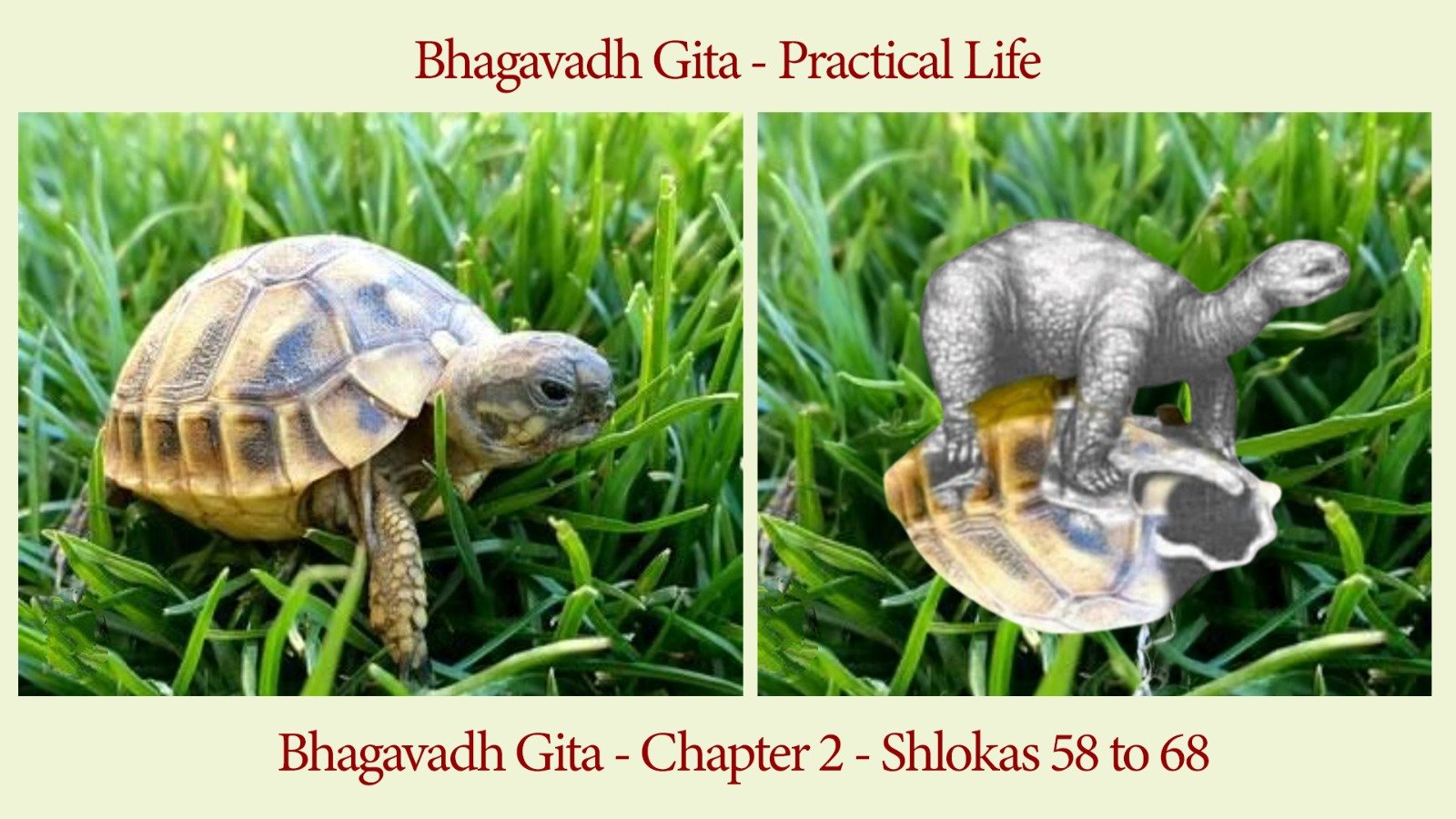 Meditation and Yoga